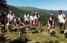 Que faire lors de vos prochaines vacances dans les Pyrénées
