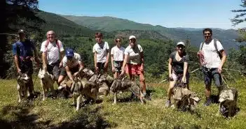 Que faire lors de vos prochaines vacances dans les Pyrénées