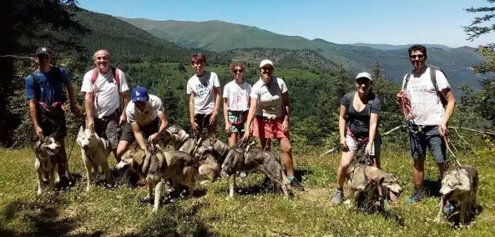 Que faire lors de vos prochaines vacances dans les Pyrénées