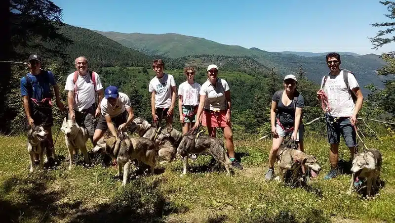 Que faire lors de vos prochaines vacances dans les Pyrénées
